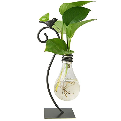 Marbrasse Desktop Glass Planter Hydroponics Vase