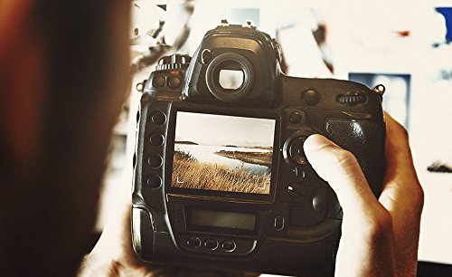 Mastering Your Digital SLR Camera