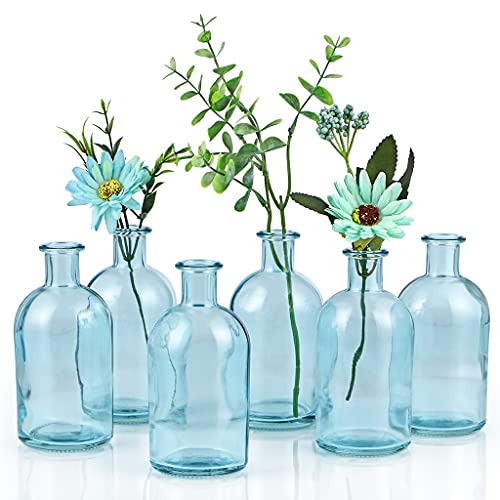 MDLUU Glass Bud Vase Set