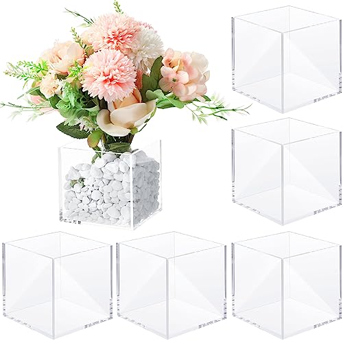 Meanplan Square Flower Vase