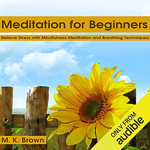 Meditation for Beginners: Relieve Stress with Mindfulness Meditation and Breathing Techniques