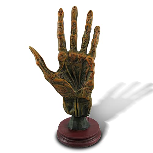 MEPERPER Palm Reading Hand