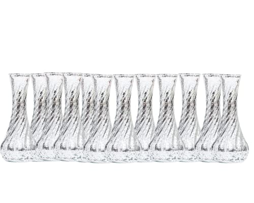 Mercury Silver Glass Vase Set