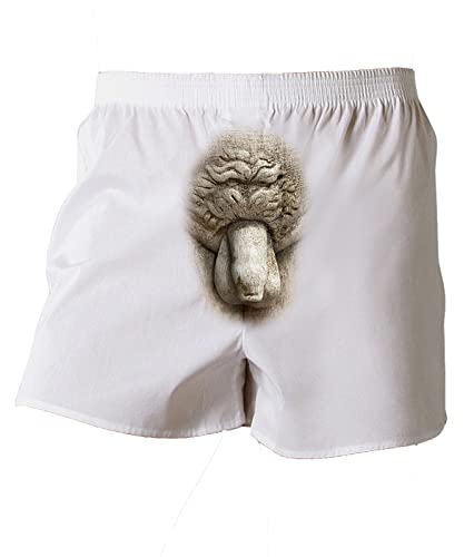 Michelangelo Sculpture of David's Mens Underwear Boxer Short Large White