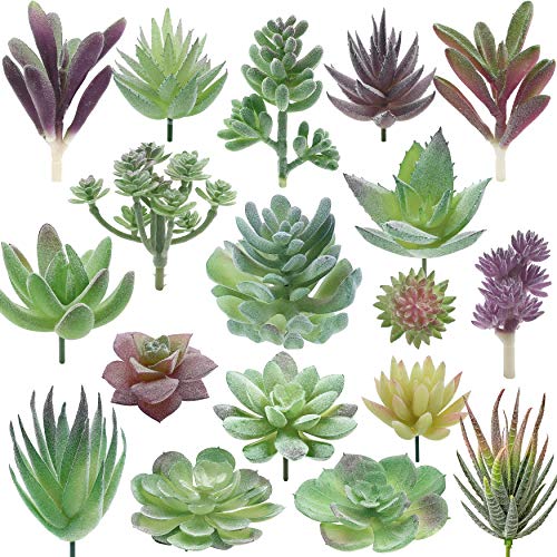 miltonson Artificial Succulent Plants