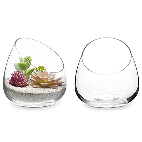 Mini 5-Inch Clear Glass Air Plant Terrarium