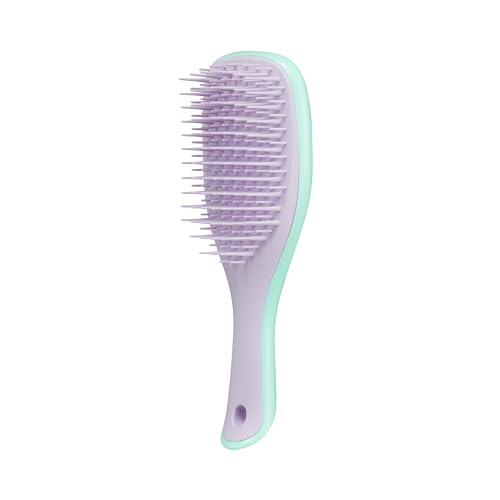 Mini Ultimate Detangling Brush: Travel-friendly Hair Detangler