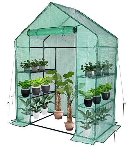 Mini Walk in Greenhouse for Outdoors