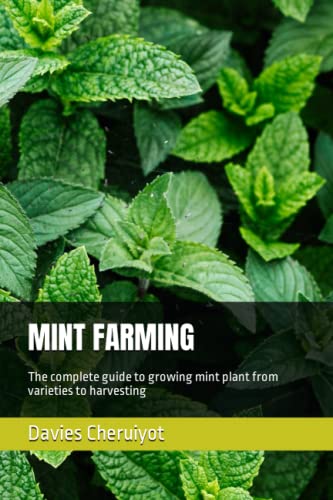 Mint Farming Guide: Grow Mint Plants with Expert Tips