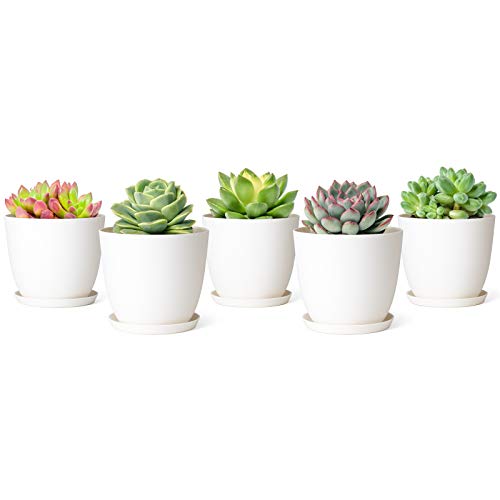 Mkono 4.5" Plastic Succulent Planters with Saucers