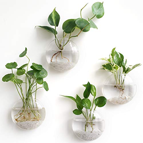 Mkono Wall Hanging Glass Terrariums Planter - Stylish Home Decor