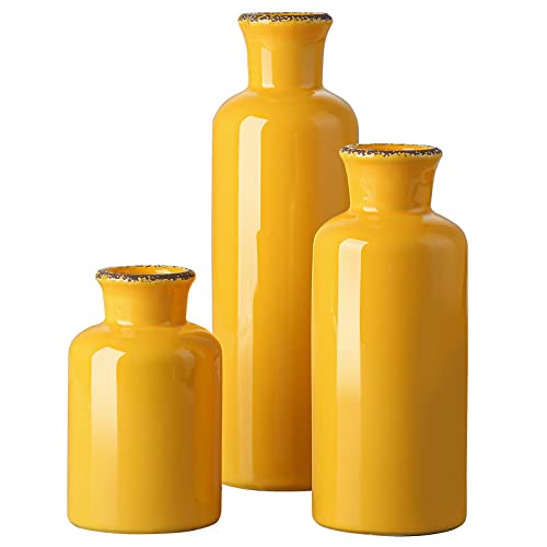 Modern Decorative Vase Set
