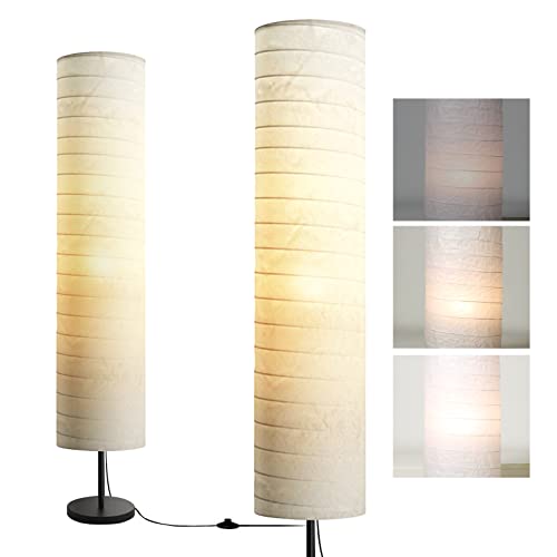 Modern Floor Lamp with Dimmable Brightness