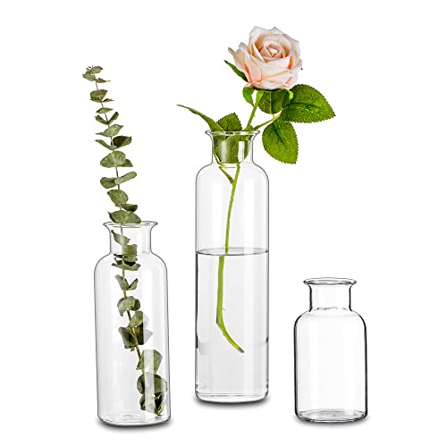 Modern Flower Vases for Decor, Set of 3