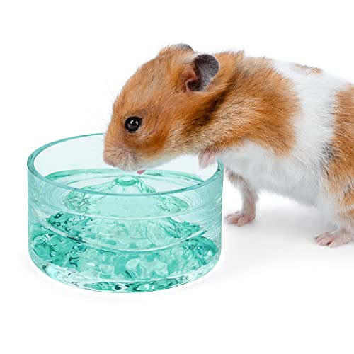 Mount Fuji Series Glass Drinking Bowls for Small Pets