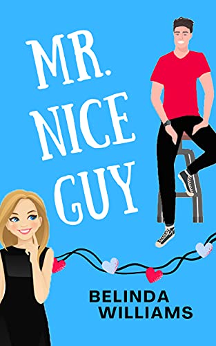 Mr. Nice Guy: A Delightful Romantic Comedy