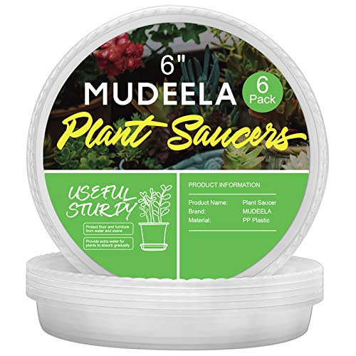 MUDEELA 6 Pack of 6 inch Plant Saucer