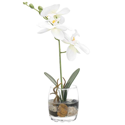 MyGift Artificial Phalaenopsis Orchid in Glass Vase