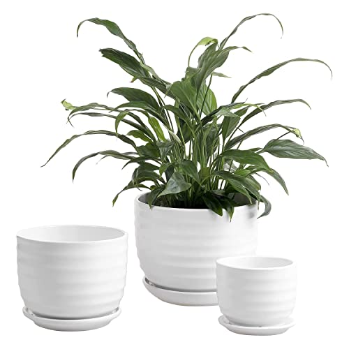 MyGift Modern Ribbed White Ceramic Indoor Plant Pot with Drainage Hole and Attached Saucer, Small Succulent Planter, Set of 3