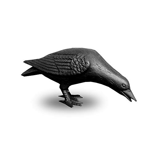 NACH Decorative Cast Iron Crow with Head Down for Indoor or Outdoor Use, Black, JS-90-7117