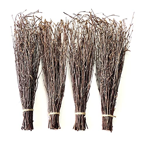 Natural Birch Twigs for Vases & Crafts
