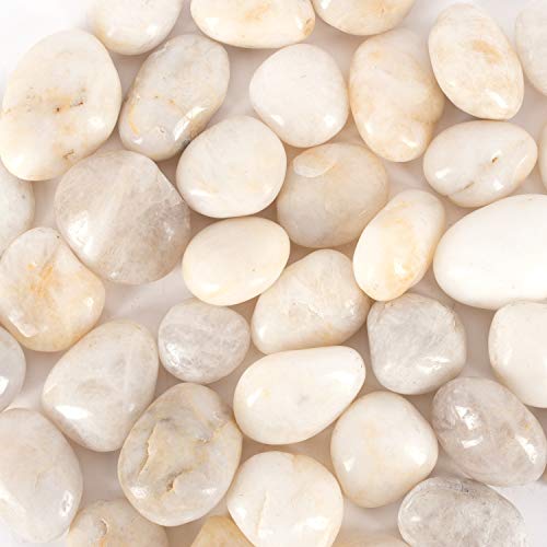 Natural Decorative White Rocks Pebbles for Plants - Galashield 5 lb