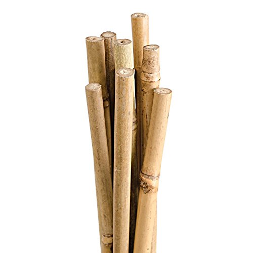 Natural First-Cut Bamboo Stakes, Pack of 10 (Approx. 3/8 Inch x 4 Feet)