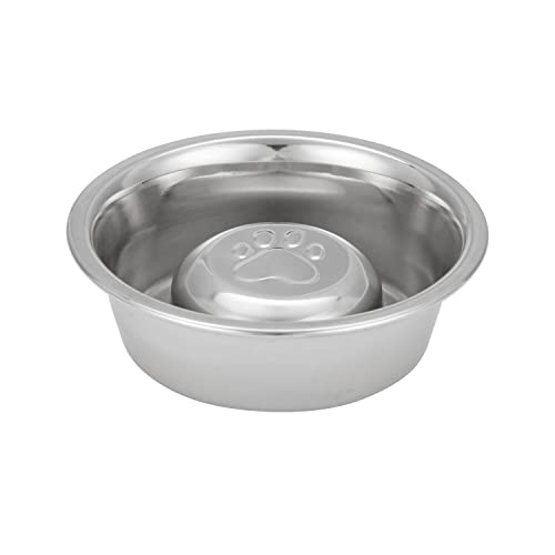Neater Pet Brands Slow Feed Bowl