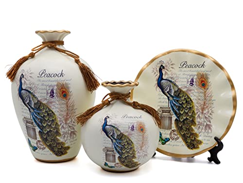 NEWQZ Decorative Vase Set of 3 with Peacock Decor