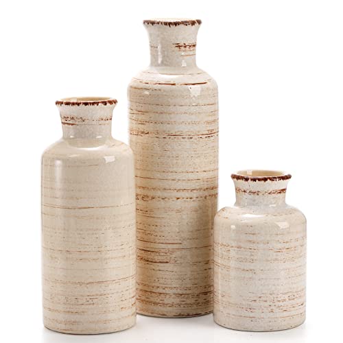 Nicunom Ceramic Vase Set of 3