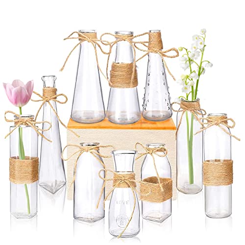 Nilos Small Bud Glass Vases for Flower Table Home Decoration