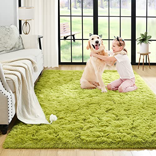 Noahas Plush Fuzzy Bedroom Rug - Soft Shaggy Area Carpet for Kids Room, Living Room, Nursery - Modern Indoor Decor