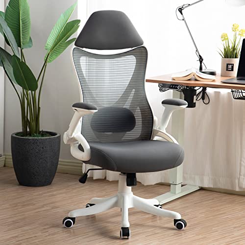 NORDICANA Ergonomic Office Chair