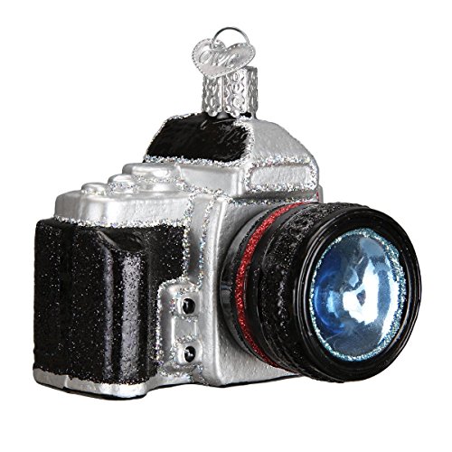 Old World Christmas Ornaments: Hobbies Gifts Glass Blown Ornaments for Christmas Tree, Camera, 32227