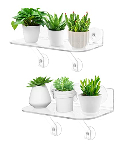 Oloxayi Window Shelf for Indoor Plants