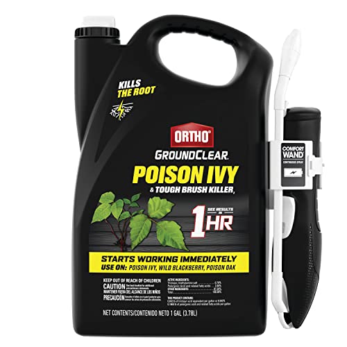 Ortho GroundClear Weed Killer Spray