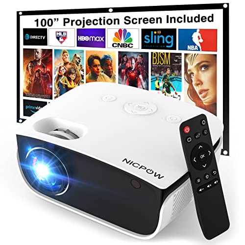 Outdoor Projector with 100" Screen