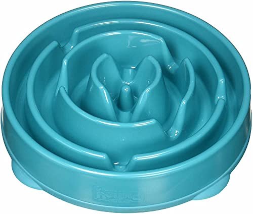Outward Hound Fun Feeder Slo Bowl - Slow Down Your Dog's Eating Habits!