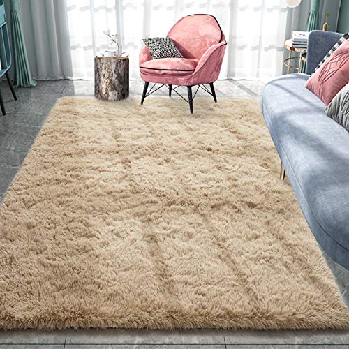 Pacapet Fluffy Area Rugs