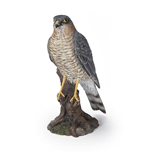 Pacific Giftware Sparrow Hawk Figurine