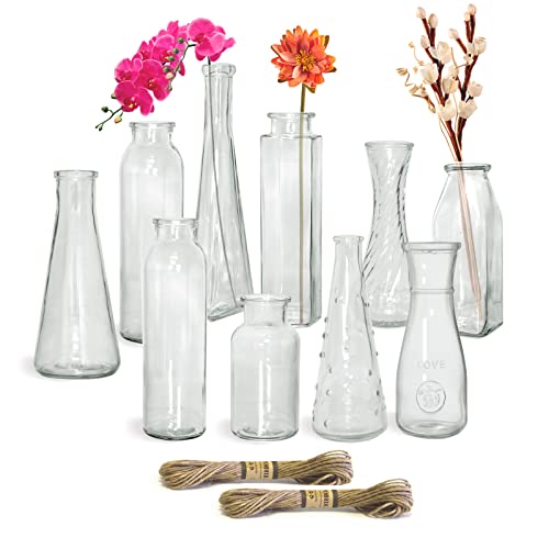 Paisener Glass Vase Set of 10