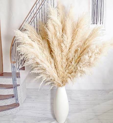 Pampas Grass Tall Decor - Elegant Natural Floral for Home