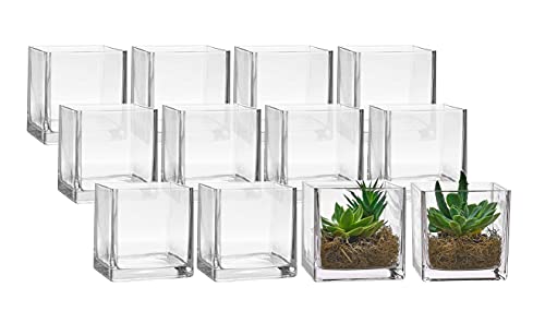 PARNOO Bulk Set of 12 Glass Square Vases 5 x 5 Inch – Clear Cube Shape Flower Vase, Candle Holders - Perfect as a Wedding Centerpieces, Home Decoration