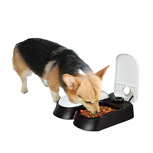 PAWISE Automatic Pet Feeder