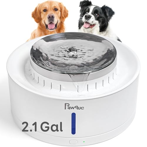 Pawque Dog Water Fountain