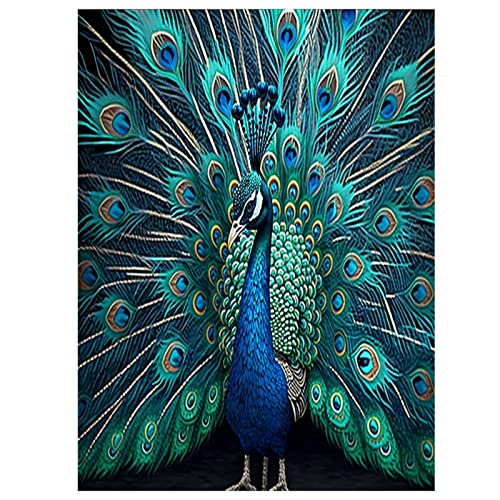 Peacock Canvas Print Wall Art