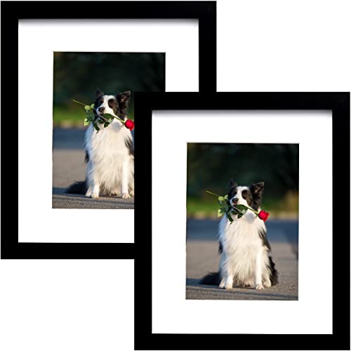 PEALSN 8x10 Picture Frame Set of 2