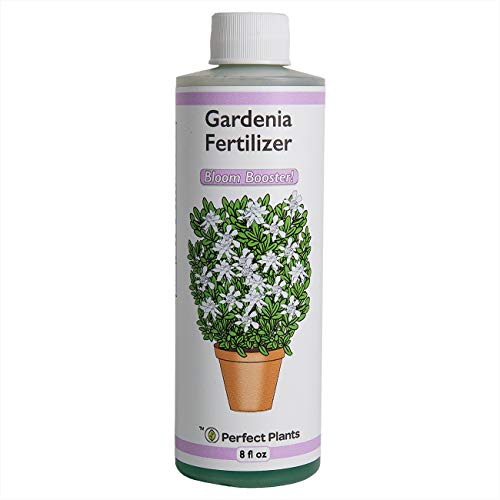 Perfect Plants Gardenia Liquid Fertilizer