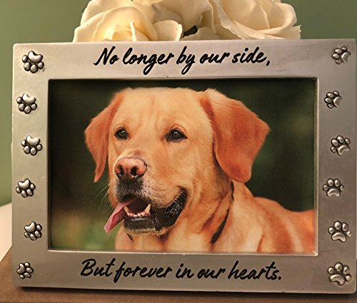 Pet Memorial Picture Frame Keepsake