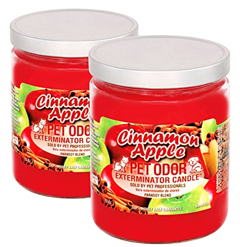 Pet Odor Exterminator Cinnamon Apple Candle